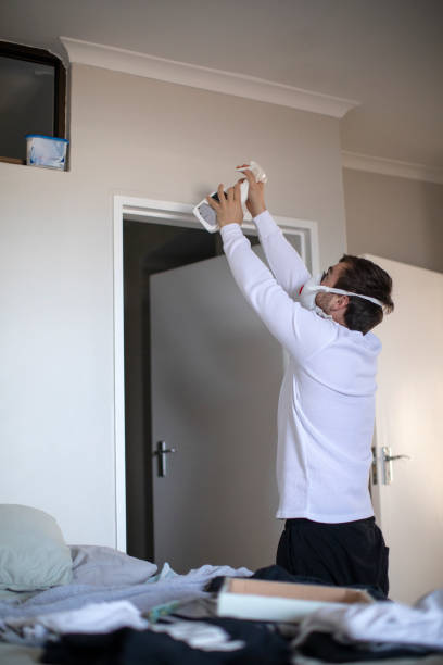 Best Real Estate Mold Inspection  in Woodville, FL