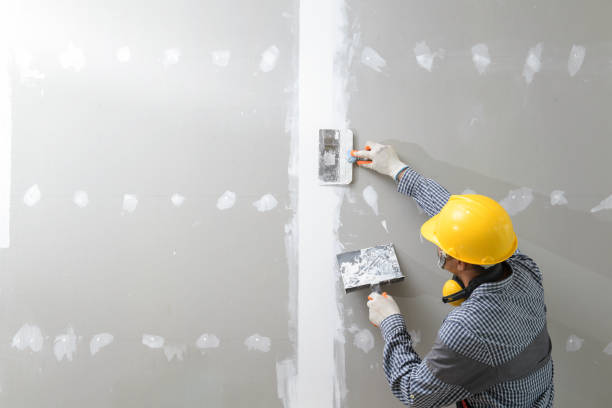 Best Mold Prevention Services  in Woodville, FL